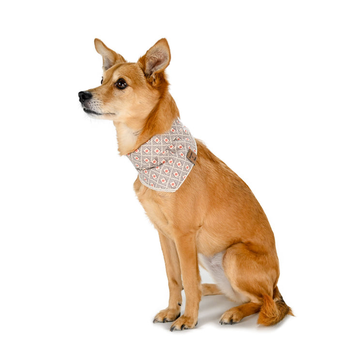 Eevee in her mosaic black white and red pet bandana