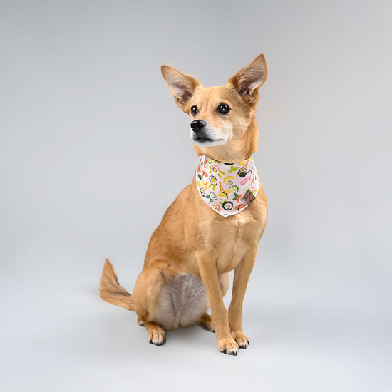 Eevee looking off into the distance in her sushi-me bandana