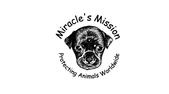 Miracle's Mission, Special Needs Dog Rescue, Dog Shelter