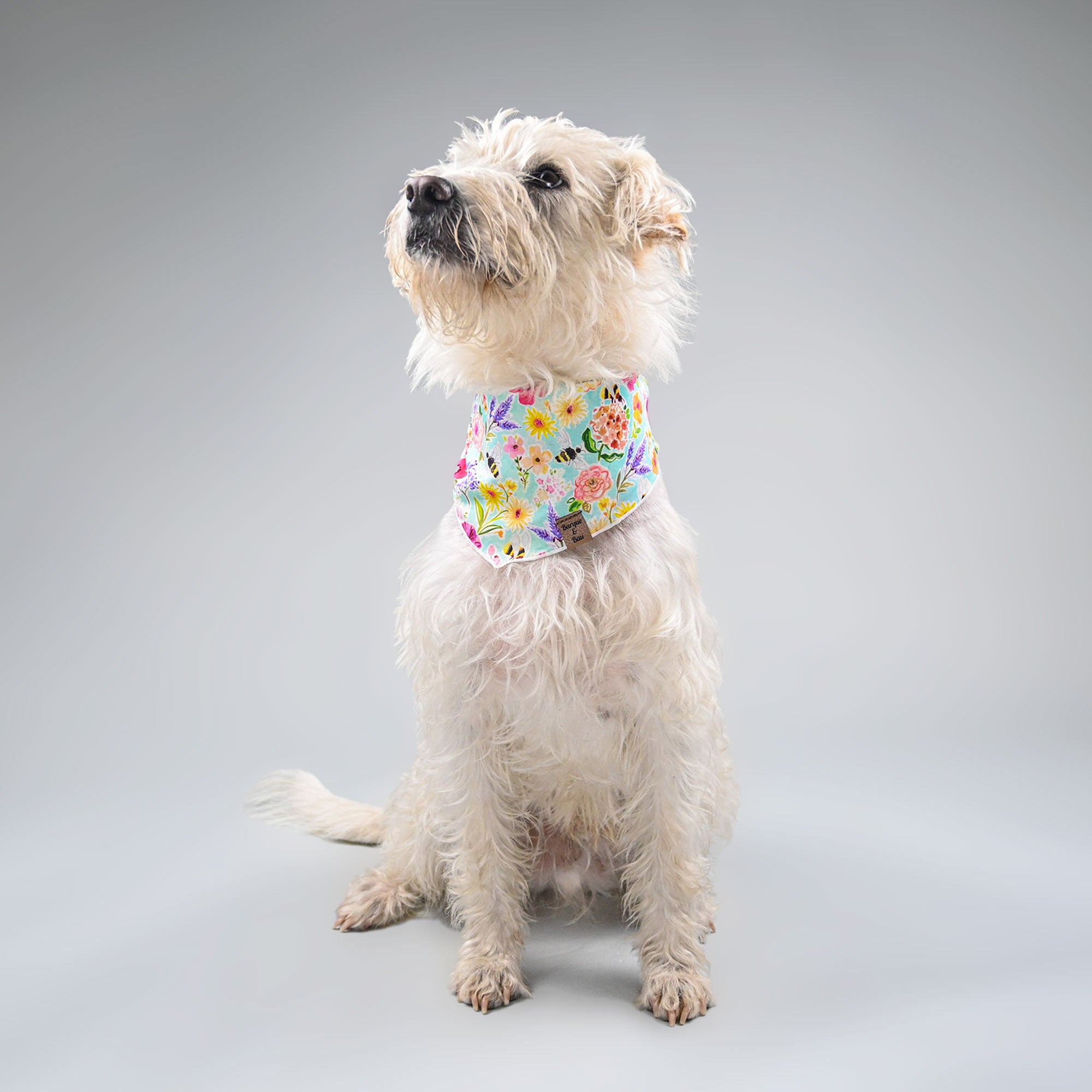 Pet Gallery Of One Custom Dog Bandana