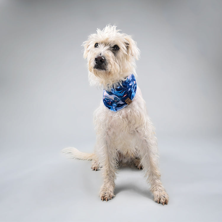 Arthur looking stoic in his aquatic blue bandana